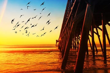 Professional Photo Shoot Experience in Myrtle Beach