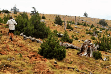 Three-Day Hiking Adventure in Valia Calda Forest, Greece