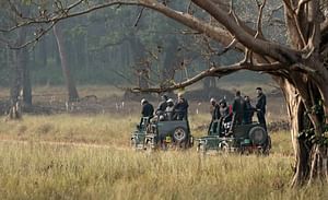 Tigers & Trails: Safari Adventure in Central India