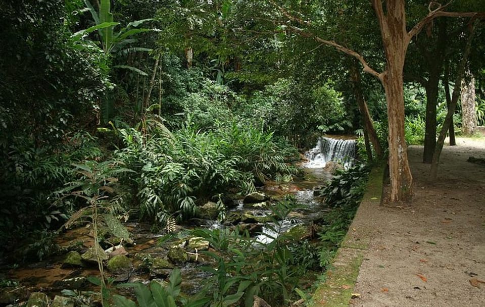 Botanical Garden and Tijuca Rainforest Jeep Tour
