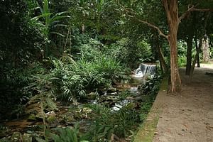 Botanical Garden and Tijuca Rainforest Jeep Tour