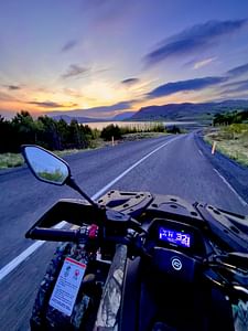 Midnight Sun Safari