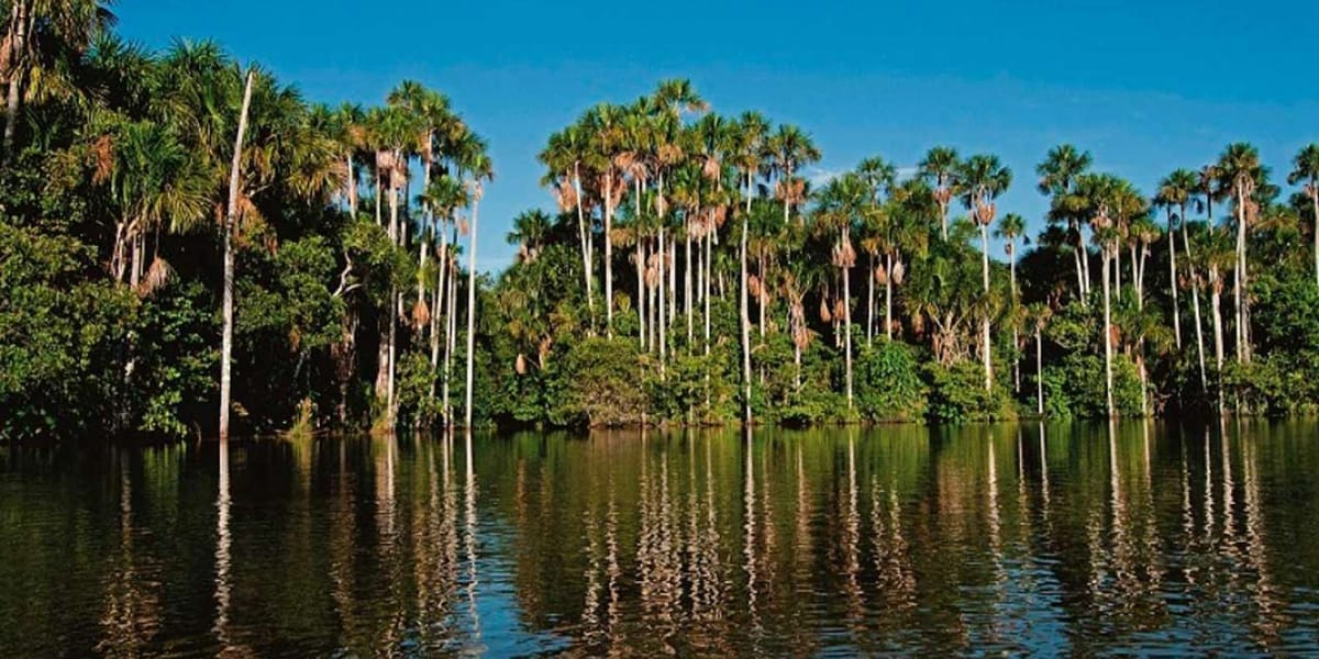 Pmal-03 : In-Depth Amazon Experience – 4 Days inside Rainforest