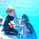 Premium 5 Minutes Dolphin Swimming Experience - Hurghada 7