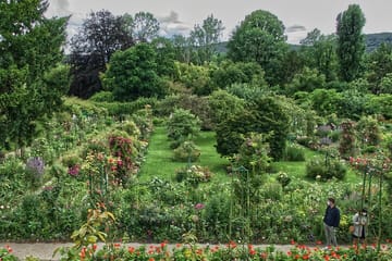 Guided Walking Tour of Monet's Giverny Gardens in Eure