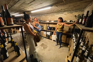 Food and wine tasting tour in Porto in Hidden Gems (Small Groups)