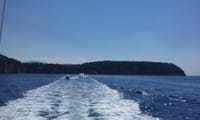 Private Hvar Island Tour by Boat - from Split 1
