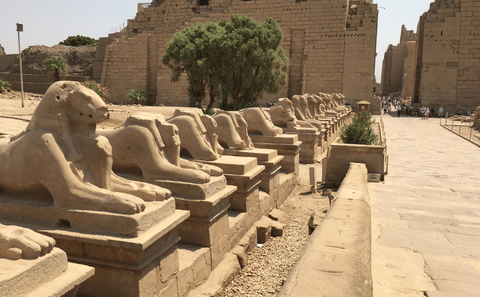 Cultural and Scenic Tour of Aswan and Cairo, Egypt