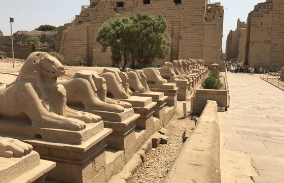 Wonders of the Pharaohs