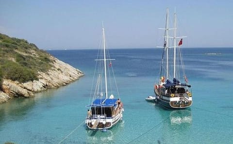 Orak Island Cruise from Bodrum with Swimming and Lunch
