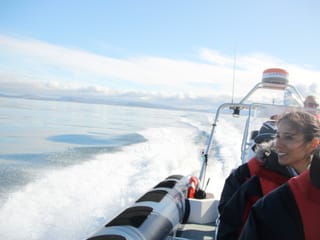 Whales, Puffins & Reykjavík, photo 15