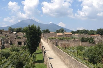 Pompeii and Vesuvius Day Trip from Naples