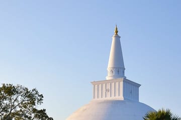 Wilpattu Jeep Safari and Anuradhapura Tour from Sigiriya