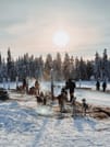 2 Hour Husky experience - 10km Husky Safari & Farm Visit 1