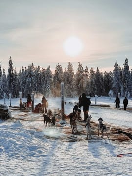 2 Hour Husky experience - 10km Husky Safari & Farm Visit