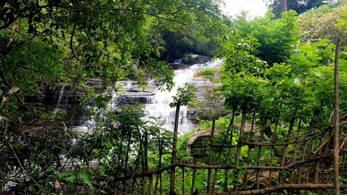 Knuckles Mountains Range 8 hours day tours from Kandy city