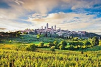 All In One; San Gimignano, Pisa and Siena Tour from Florence 8