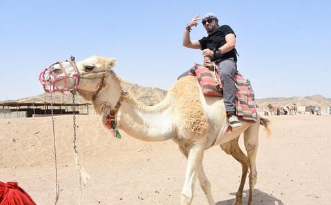 Hurghada 7-Day All-Inclusive City Tour and Super Safari