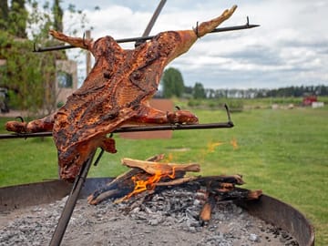 Private Gaucho Experience at Estancia in San Antonio de Areco