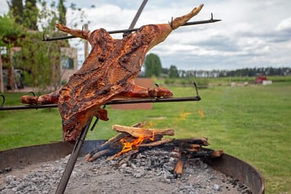 Private Gaucho Day to an Authentic Argentinian Estancia