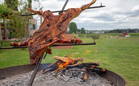 Private Gaucho Experience at Estancia in San Antonio de Areco