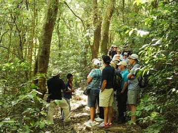Cerro Verde