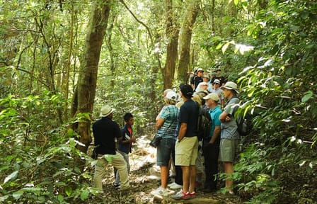 Full Day Tour of Volcanoes and Mayan Sites in El Salvador