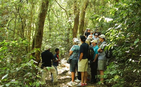 Full Day Tour of Volcanoes and Mayan Sites in El Salvador