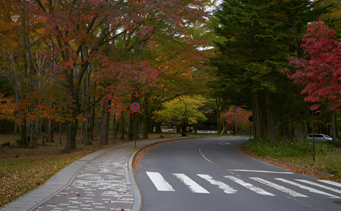 From Tokyo: Nikko Private Day Tour