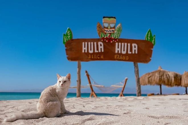 Royal Hula Hula Island Sea Trip and Parasailing &amp; lunch-HURGHADA