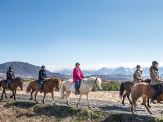 Lava Tour - Horseback Riding through the Lava Fields, photo 8