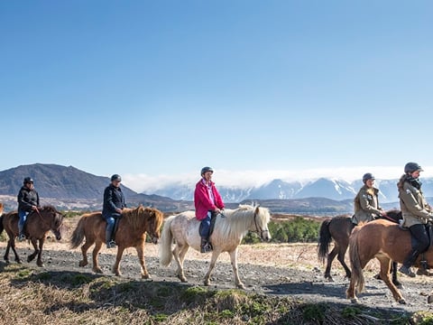 Lava Tour - Horseback Riding through the Lava Fields, photo 9