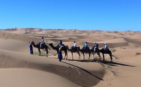 Erfoud to Merzouga Desert Tour with Camel Ride and Dinner
