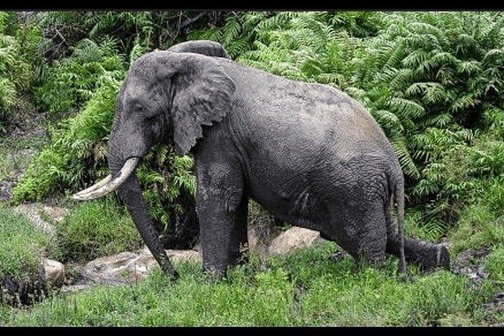 Bangkok Chao Phraya River Sightseeing Boat: A/C Cabin & Scenic Upper Deck + Bonus Day Pass