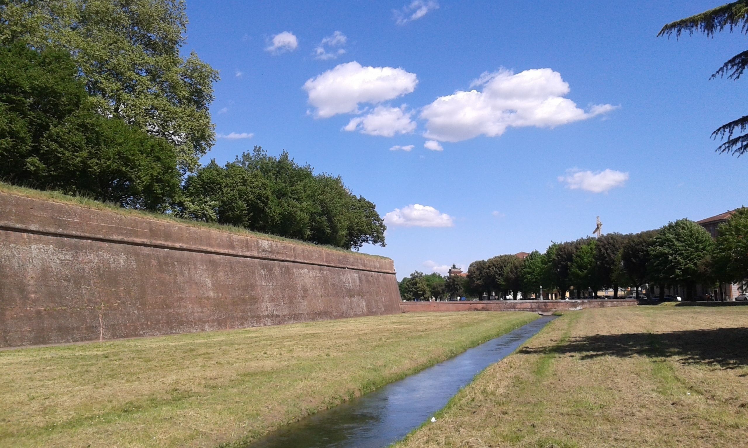 View of Lucca's medieval walls surrounding the city centre