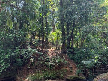 Corcovado National Park Day Adventure in Drake Bay