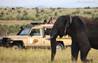 12 Days Kenya & Tanzania Combo Big Five Safari 10