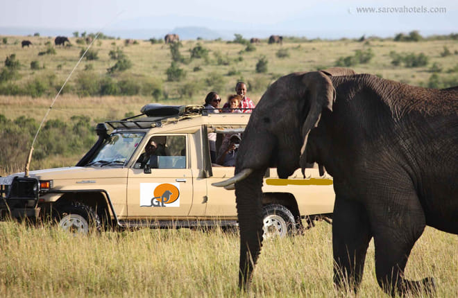 12 Days Kenya & Tanzania Combo Big Five Safari 10