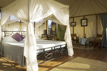 Private 3-Day Masai Mara Safari from Nairobi
