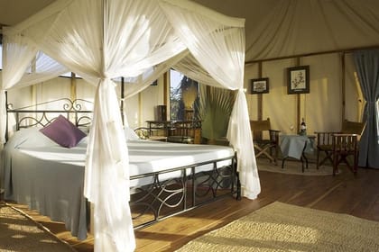 3-Day Masai Mara Private Safari (Mid-Range)