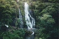 North Bali Scenic Tour with All-Inclusive & Private Guide Tour 1