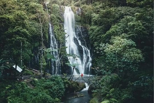 North Bali Scenic Tour with All-Inclusive & Private Guide Tour