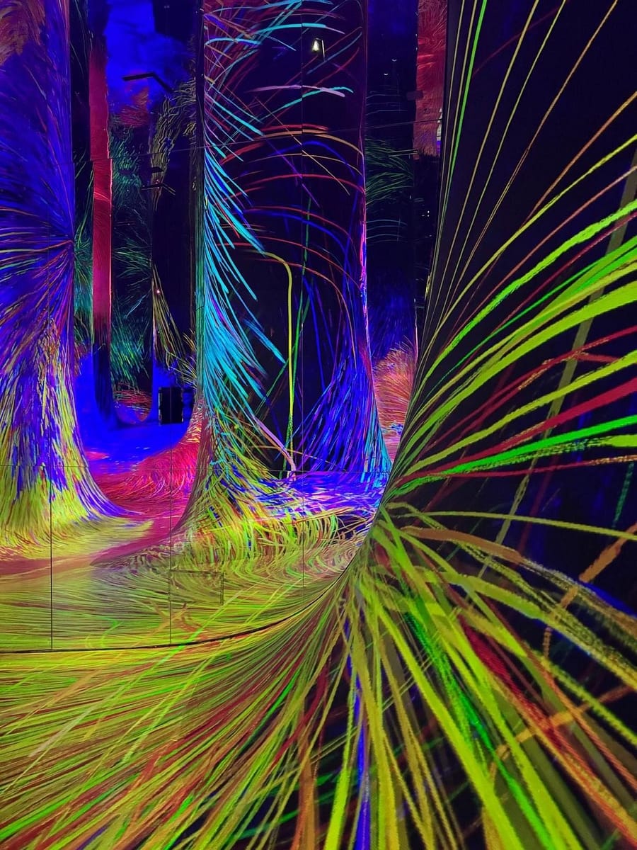 Abu Dhabi: TeamLab Phenomena – A Universe of Living Art!