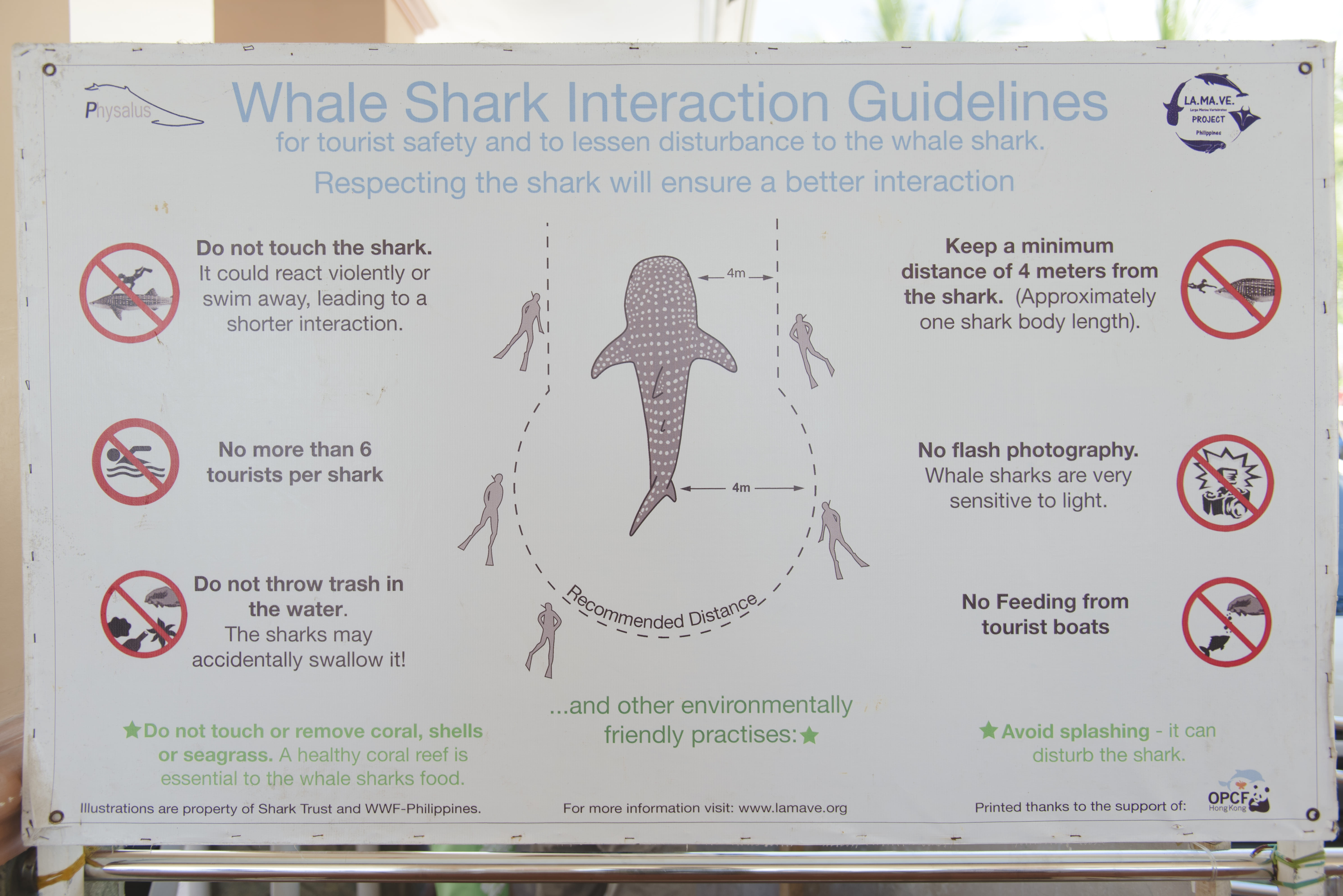 Oslob Whale Shark with Tumalog Falls - SIC