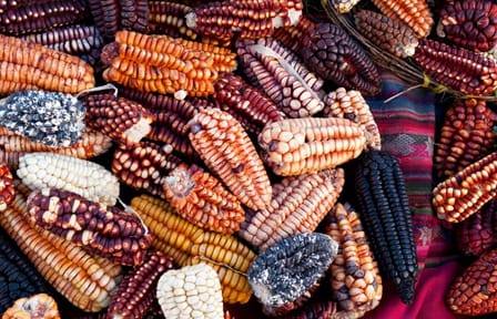 Extraordinary Peru, Private Tour