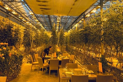 Private Golden Circle & Blue Lagoon Tour with Fridheimar Farm