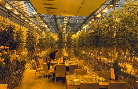 Private Golden Circle & Blue Lagoon Tour with Fridheimar Farm