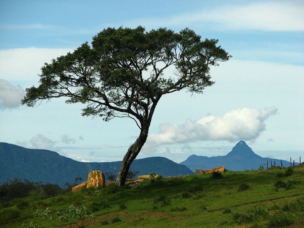 Nuwara Eliya & Ambewela Farm Adventure: Explore Sri Lanka’s Scenic Gems