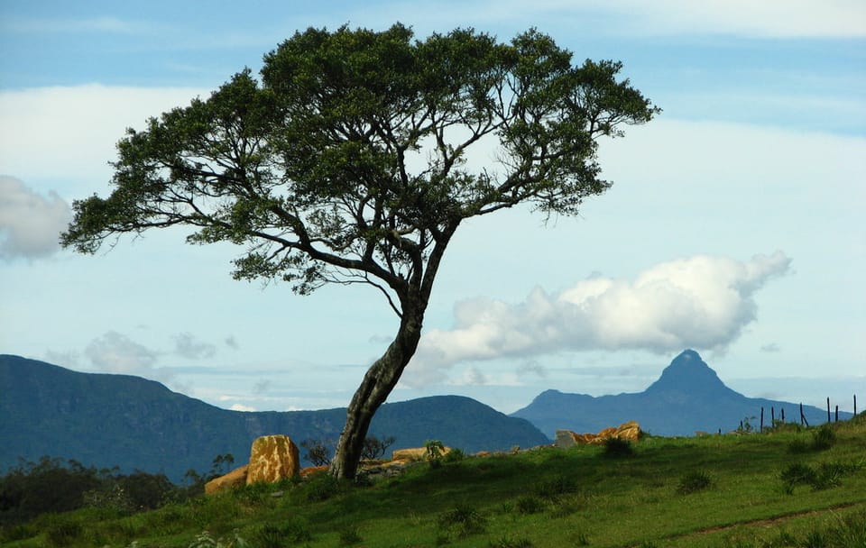 03 Day Nuwara Eliya & Ambewela Tour