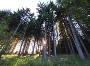 Authentic Traditions and Contemporary Science in the Rhodope Mountains 6